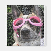 Surrey Magnet (Voorkant)