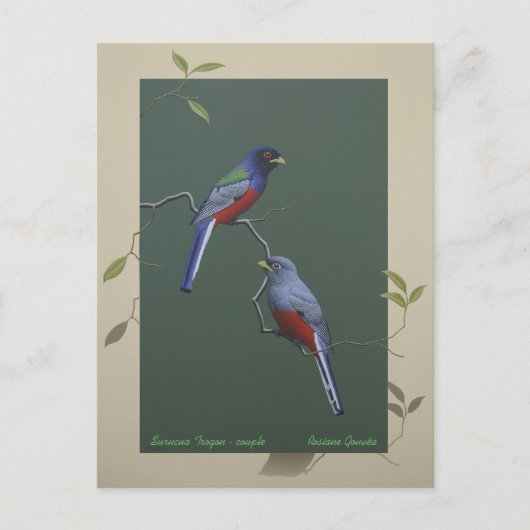 Surucua Trogon - koppel Briefkaart (Voorkant)