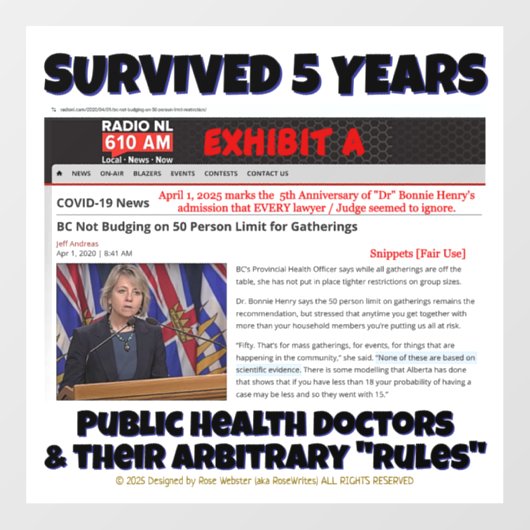 Survived 5 Years beroemd gemaakt door RoseWrites W Raamsticker (Vel)