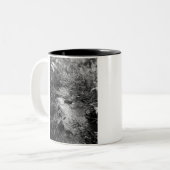 Survivor Afbeelding Tweekleurige Koffiemok (Voorkant links)