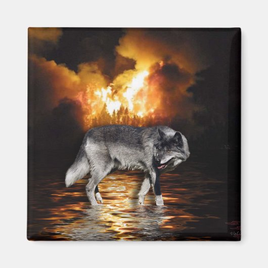 "Survivor" Gray Wolf Magnet (Voorkant)