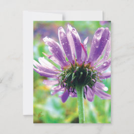 Survivor, Purple Flower with Dew Briefkaart
