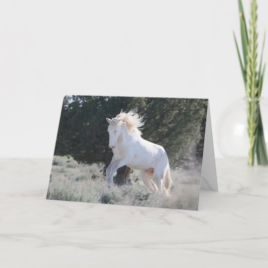 Survivor Wenskaart Kaart (Voorkant)