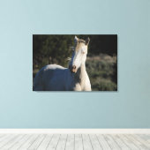 Survivor ~ Wild Iconic Stallion van Steens Canvas (Insitu (Houten vloer))