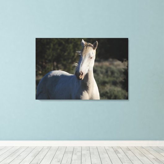 Survivor ~ Wild Iconic Stallion van Steens Canvas (Insitu (Houten vloer))