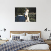 Survivor ~ Wild Iconic Stallion van Steens Canvas Afdruk (Insitu (Slaapkamer))
