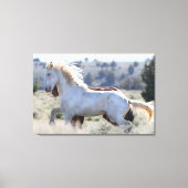 Survivor Wrapped Canvas Afdruk (Voorkant)