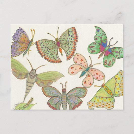 Survivors Hub Series #4 Butterflies Briefkaart (Voorkant)
