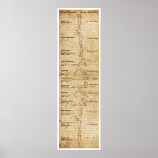 Suryanamaskara - de zonsopgang - portret poster