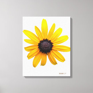 Susan Art met zwarte ogen Canvas Afdruk