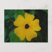 Susan Briefkaart (Voorkant)