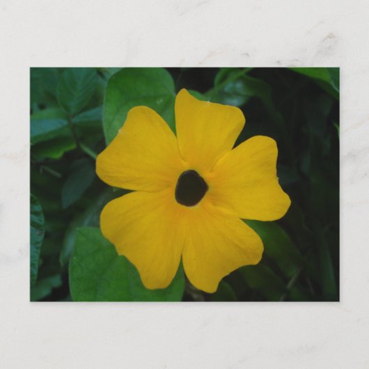 Susan Briefkaart (Voorkant)