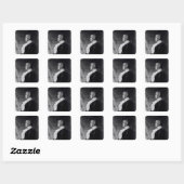 Susan Brownell Anthony Vierkante Sticker (Vel)