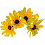 Susan Kerstmis Hanging Acrylic Fotobeeldje Ornament<br><div class="desc">Dit mooie vakantie-ornament zal je kerstboom verfijnen met vier briljante gouden gele zwarte Eyed Susan-bloesems.</div>