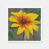 Susan Napkin met zwarte ogen Servetten (Voorkant)