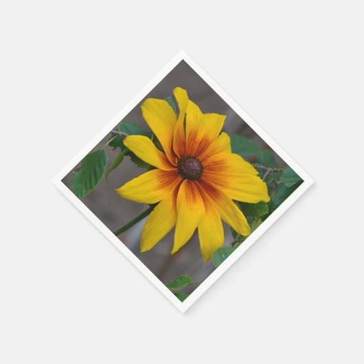 Susan Napkin met zwarte ogen Servetten (Hoek)