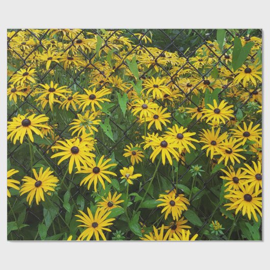 Susan Summer Cadeaupapier (Vlak)