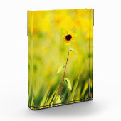 Susan Wildflower met zwarte ogen Fotoblokken (Links)