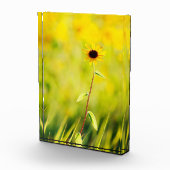 Susan Wildflower met zwarte ogen Fotoblokken (Rechts)