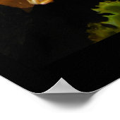 Sushi California roll sashimi foodie chef photo Poster (Hoek)