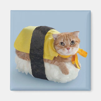 Sushi Cat-6 magneet