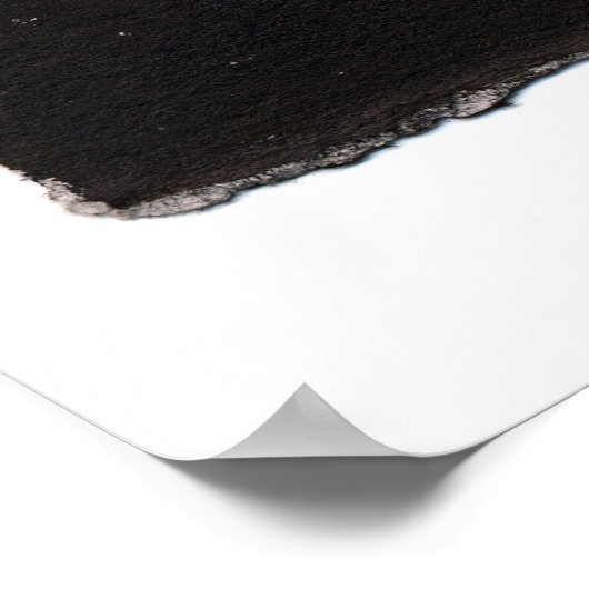 Sushi Cat Sashimi Sweetie Print