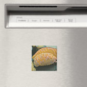 Sushi minachting cadeau magneet (Insitu (Vaatwasser))