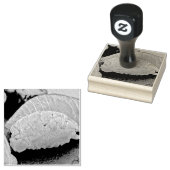 Sushi minachting cadeau rubberstempel (Gestempeld)