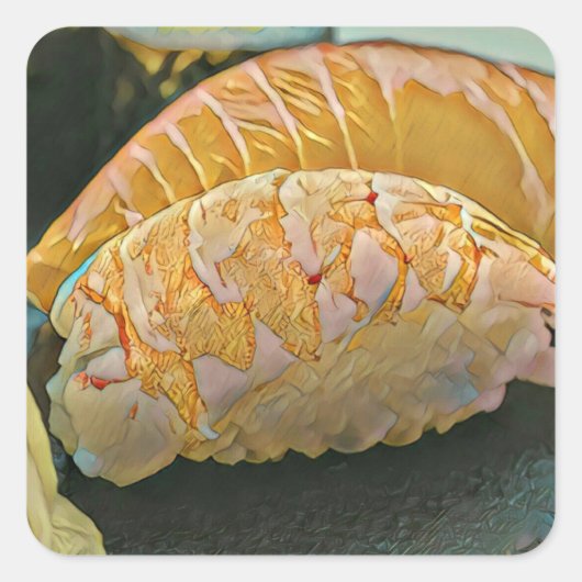 Sushi minachting cadeau vierkante sticker (Voorkant)