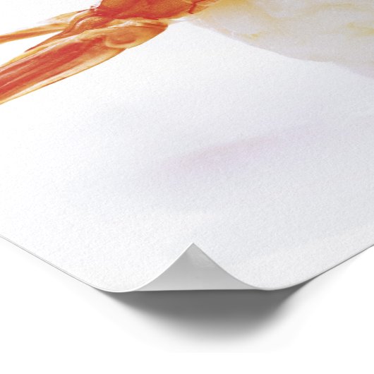 Sushi, Nigeria, close-up Poster (Hoek)