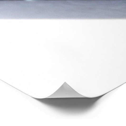 Sushi op een bord poster (Hoek)