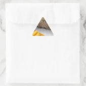 Sushi Roll Sushi Mango Rice Japans Sticker (Tas)