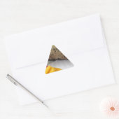 Sushi Roll Sushi Mango Rice Japans Sticker (Envelop)