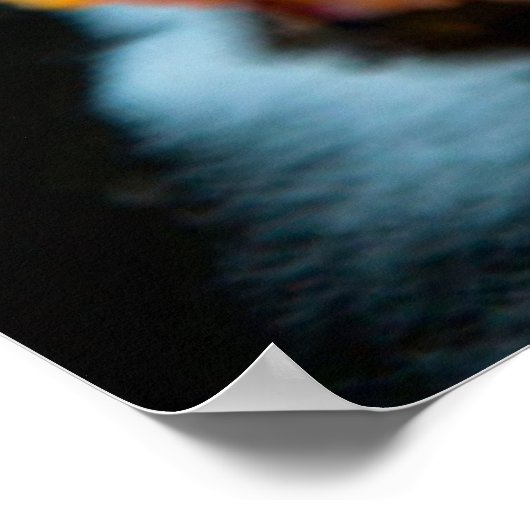 Sushi Rolls Poster (Hoek)