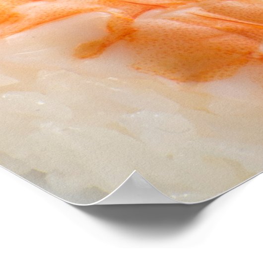 Sushi Sashimi Platter Poster (Hoek)