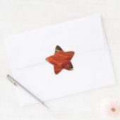 Sushi Tuna Party Time Fish Food Ster Sticker (Envelop)