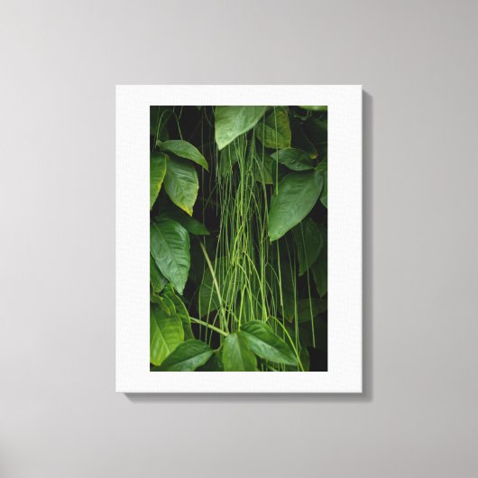 Suspended Nature Canvas Afdruk (Voorkant)