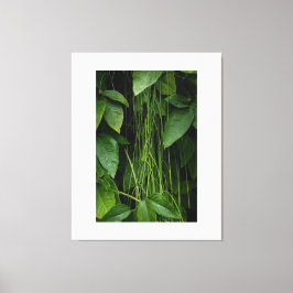 Suspended Nature Canvas Afdruk