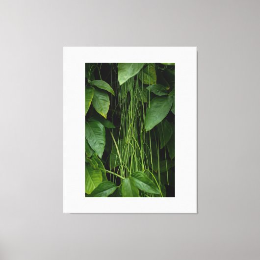 Suspended Nature Canvas Afdruk (Voorkant)