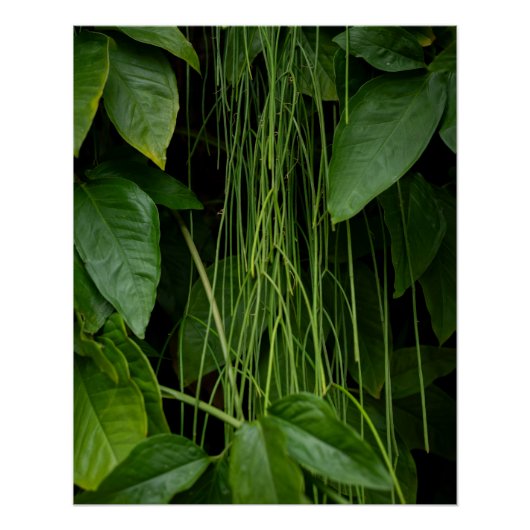 Suspended Nature Perfect Poster (Voorkant)