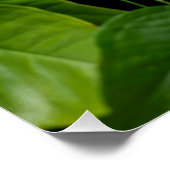 Suspended Nature Perfect Poster (Hoek)