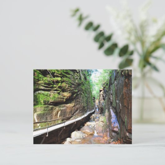 Suspended Path Stream Franconia Notch NH Briefkaar Briefkaart (Staand voorkant)