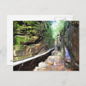 Suspended Path Stream Franconia Notch NH Briefkaar Briefkaart (Voorkant / Achterkant)