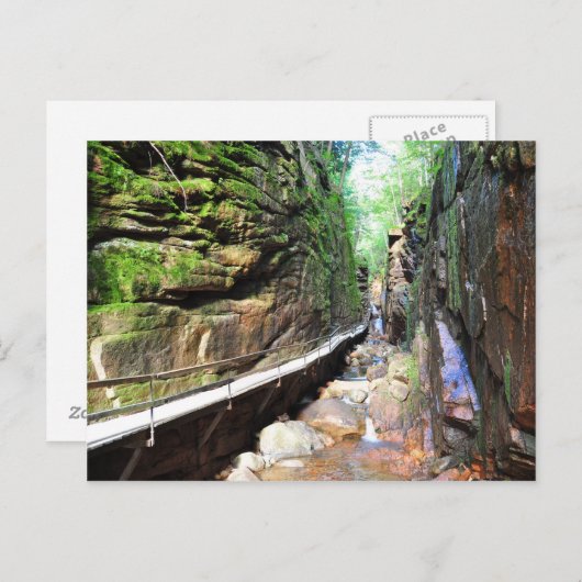 Suspended Path Stream Franconia Notch NH Briefkaar Briefkaart (Voorkant / Achterkant)