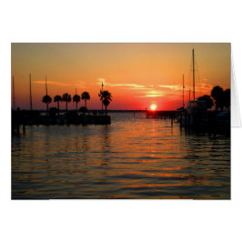 "Suspending Time" Dunedin Marina