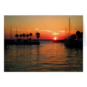 "Suspending Time" Dunedin Marina