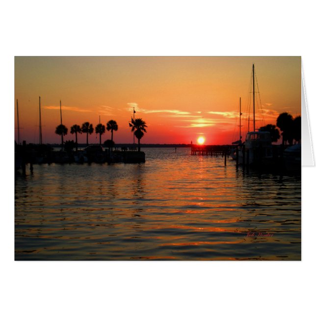 "Suspending Time" Dunedin Marina (Voorkant Horizontaal)