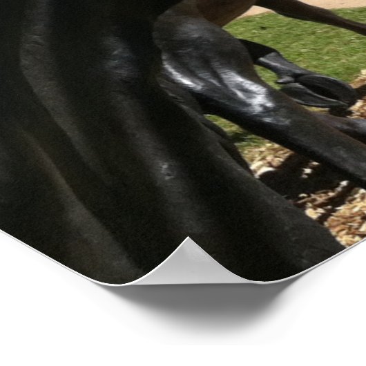 Suspensie Bridge, Waco, TX Poster (Hoek)