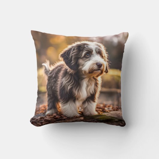 Süßer Aussiedoodle Welpe Kussen (Voorkant)