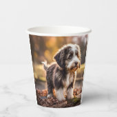 Süßer Aussiedoodle Welpe Papieren Bekers (Achterkant)